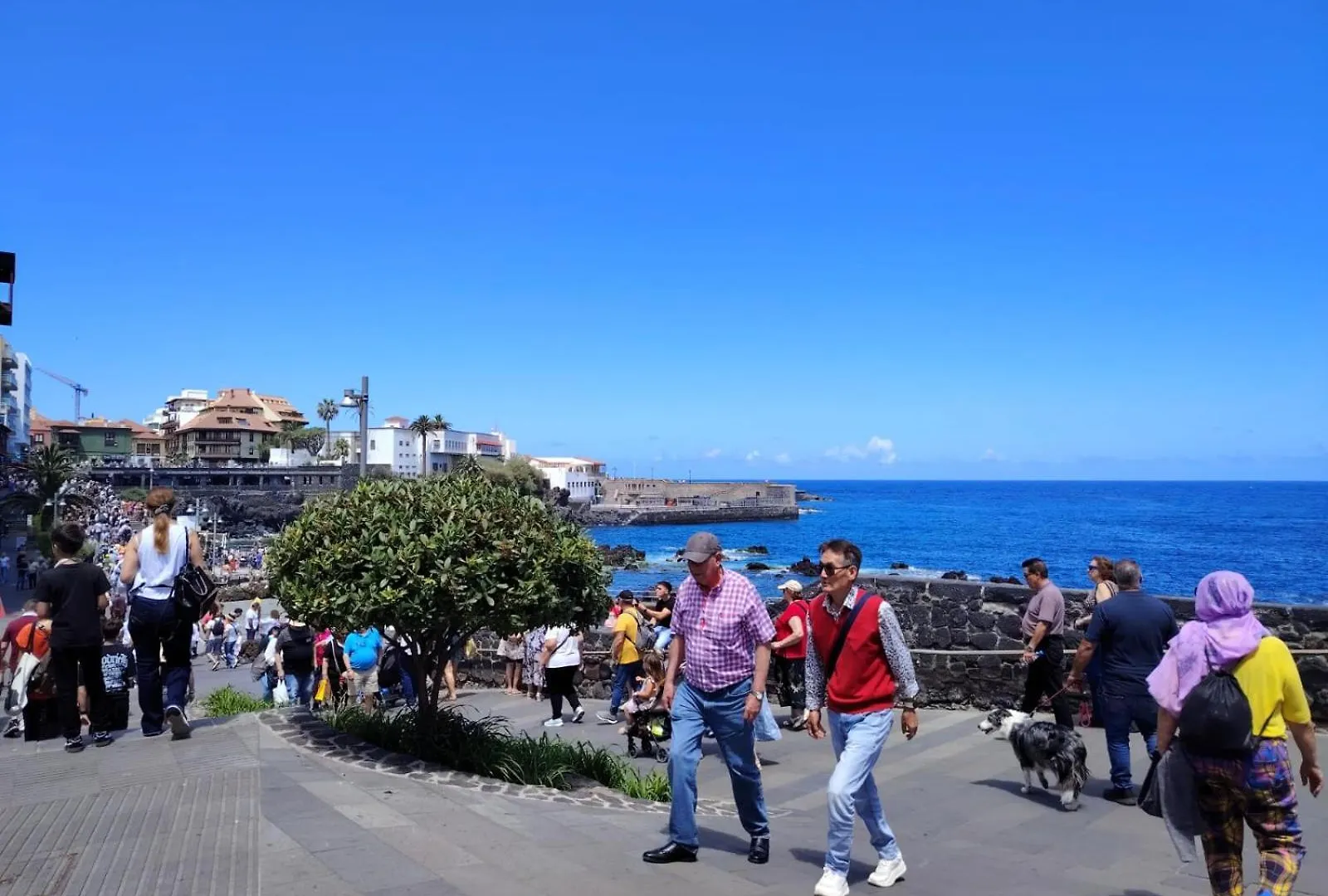 Apartamento Frente Oceano Puerto de la Cruz  Puerto de la Cruz (Tenerife)